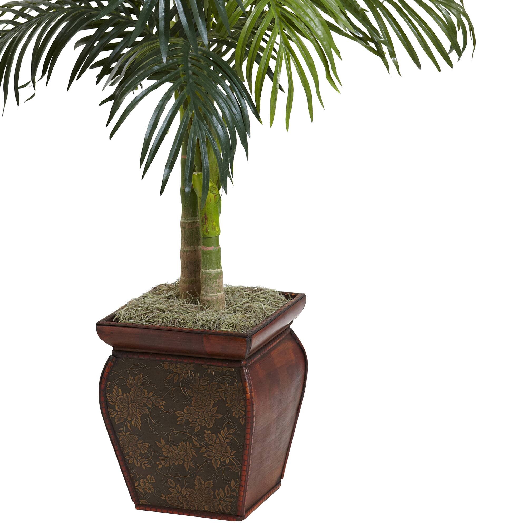 4.5ft. Golden Cane Palm in Decorative Container